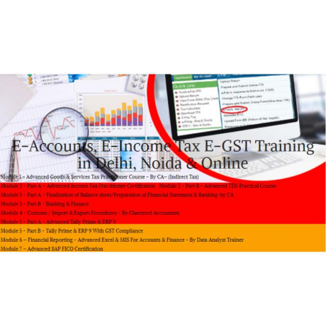 accounting-course-in-delhi-110050-sla-accounting-institute-taxation-and-erp-big-0