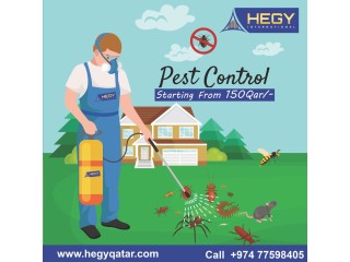 Best pest control service in qatar