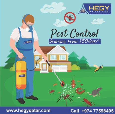 best-pest-control-service-in-qatar-big-0