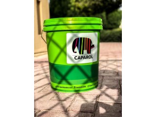 Trusted Paint Dealers & Suppliers in Senegal | Caparol Senegal