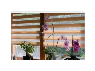 Motorized Roller Shades Aventura